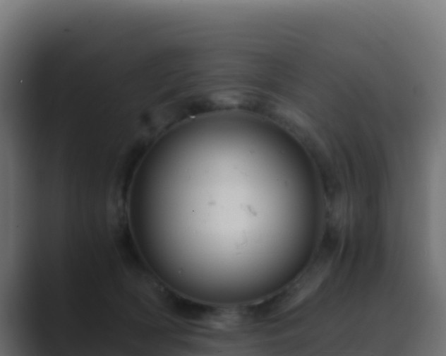 X0000089730418200706281553