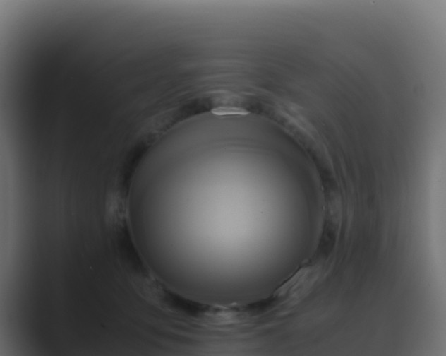 X0000089730419200706281553
