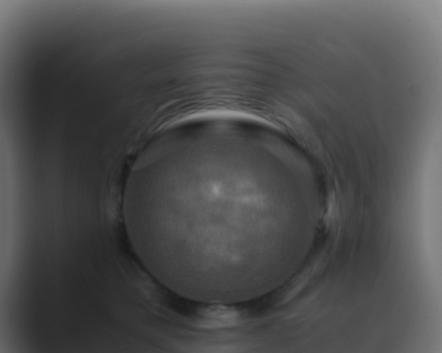 X0000089730421200706281553