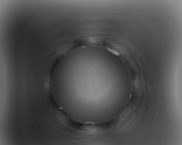 X0000089730423200706281552