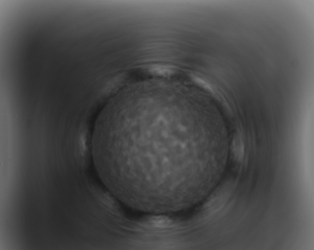 X0000089730424200706281552
