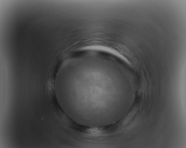 X0000089730425200706281552