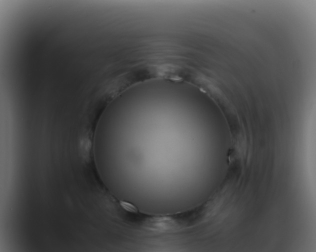 X0000089730427200706281552
