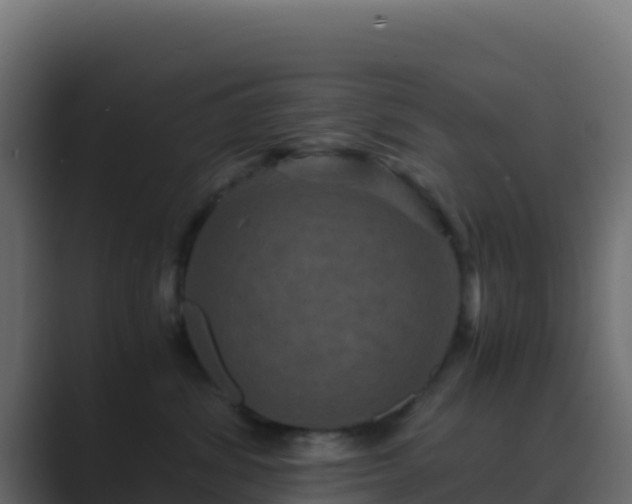 X0000089730428200706281552