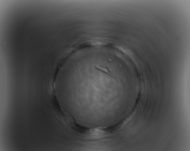 X0000089730429200706281552