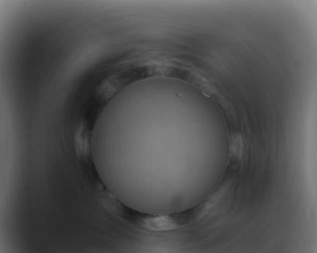 X0000089730431200706281552