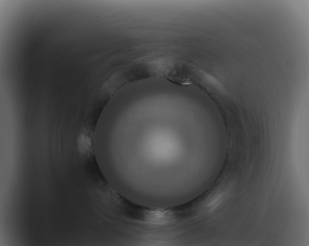X0000089730432200706281552