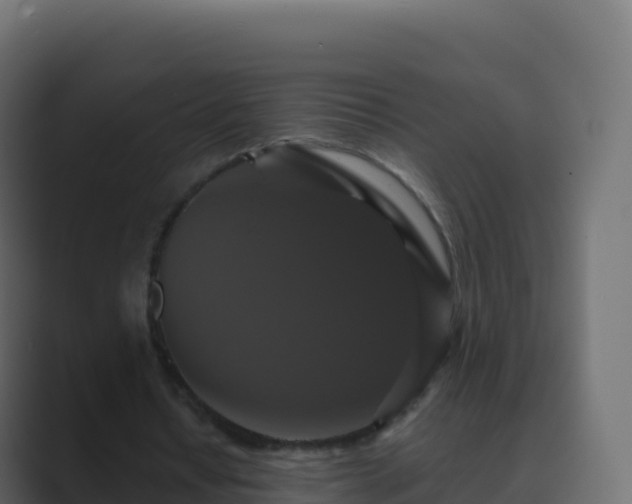 X0000089730434200706281552