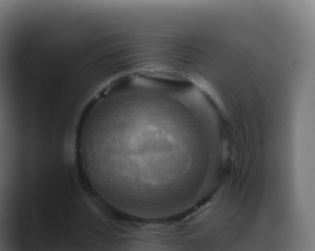 X0000089730436200706281552