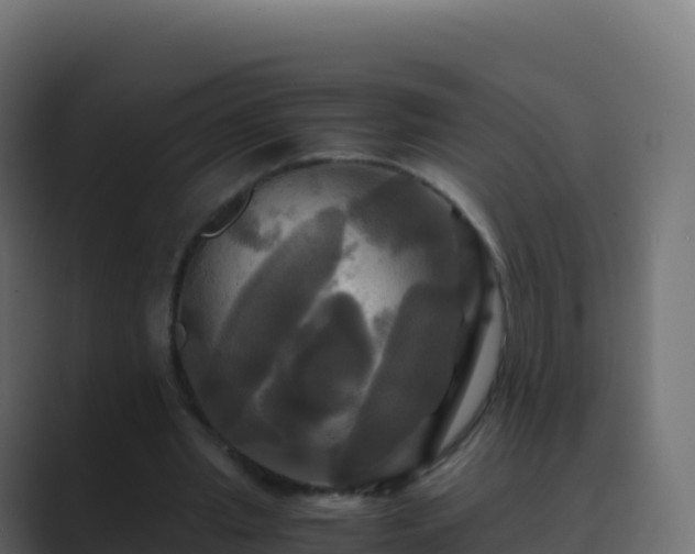 X0000089730437200706281552