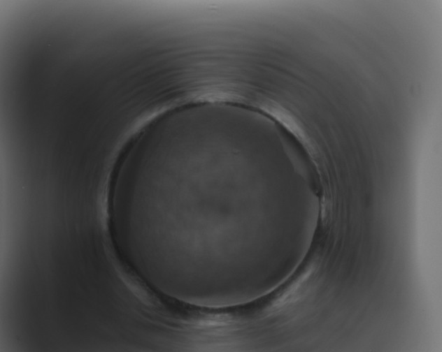 X0000089730438200706281552