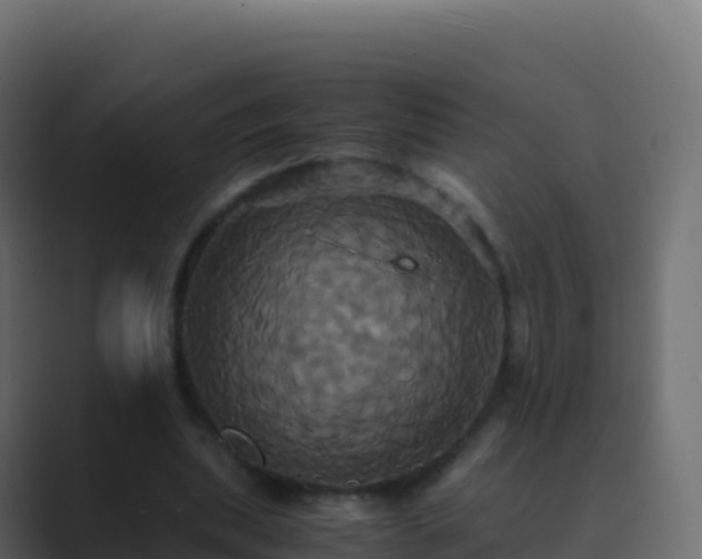 X0000089730439200706281552