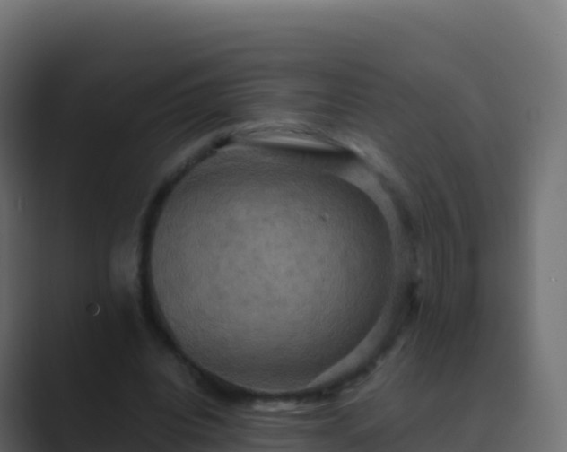 X0000089730440200706281552