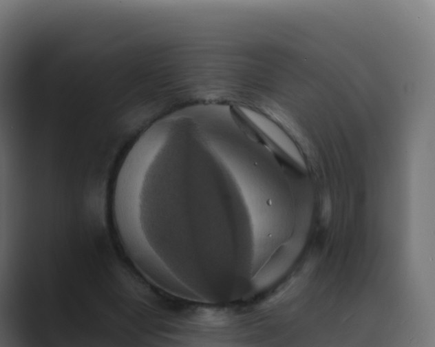 X0000089730442200706281552