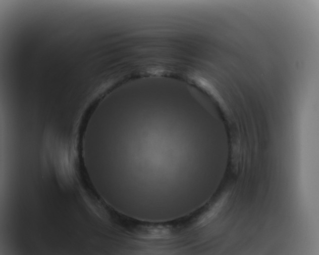 X0000089730443200706281552