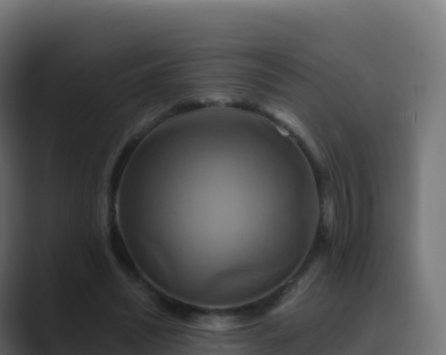 X0000089730444200706281552