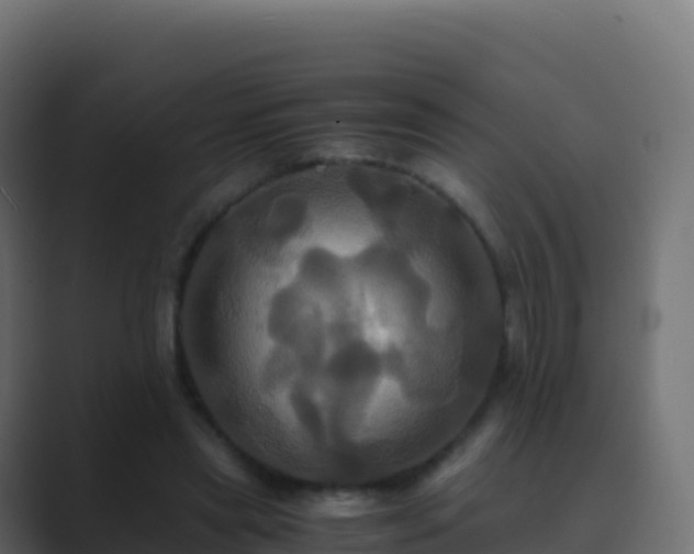 X0000089730445200706281552