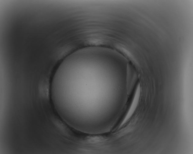 X0000089730446200706281552