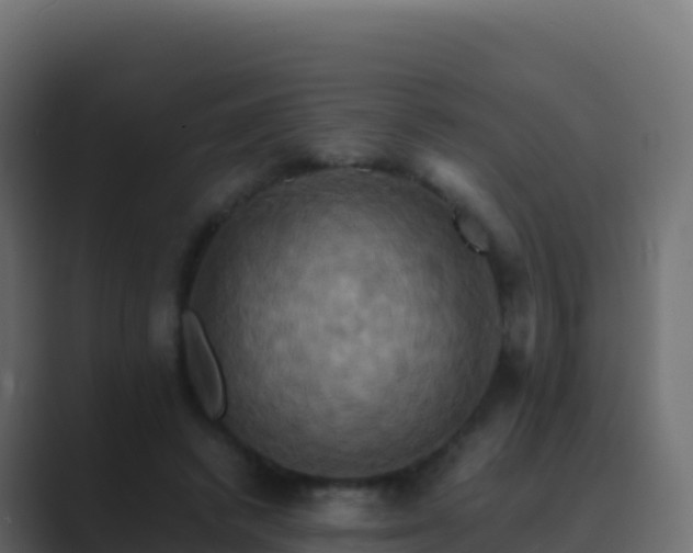 X0000089730448200706281552