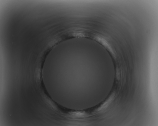 X0000089730449200706281552