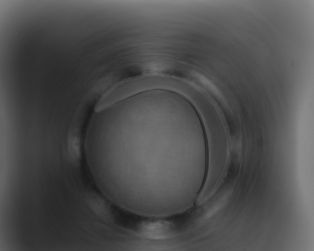 X0000089730452200706281552