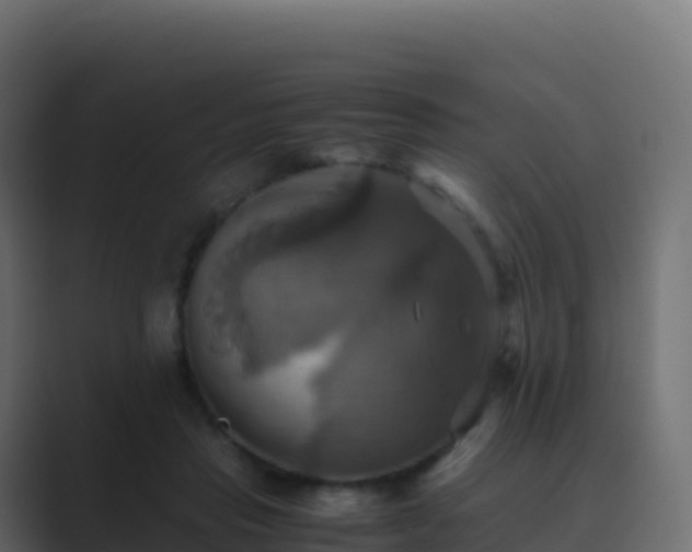 X0000089730453200706281552