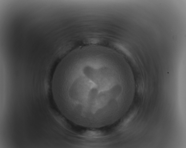 X0000089730455200706281552