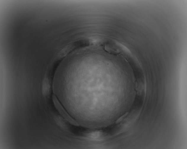 X0000089730456200706281552