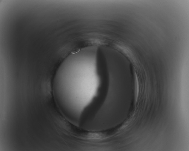 X0000089730457200706281552