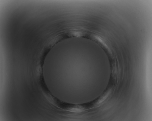 X0000089730459200706281552