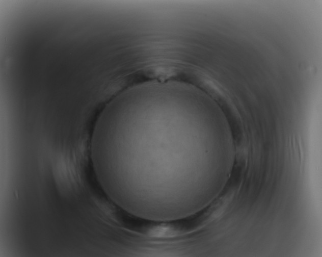 X0000089730460200706281552