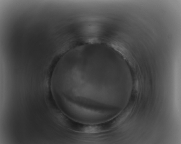 X0000089730461200706281552