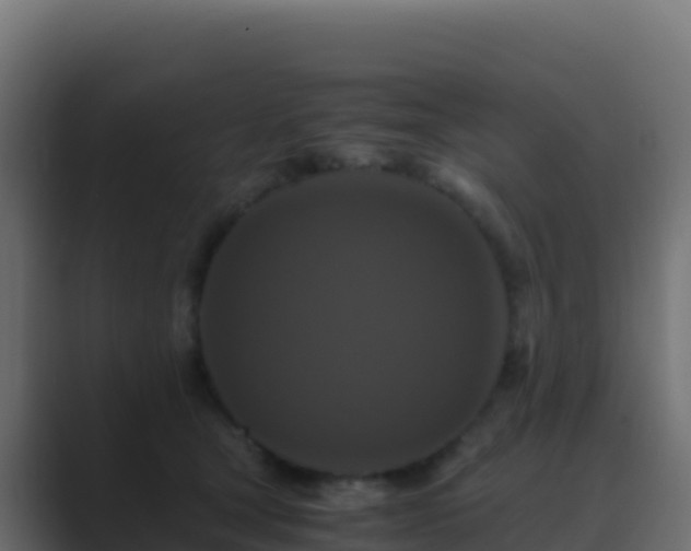 X0000089730465200706281552