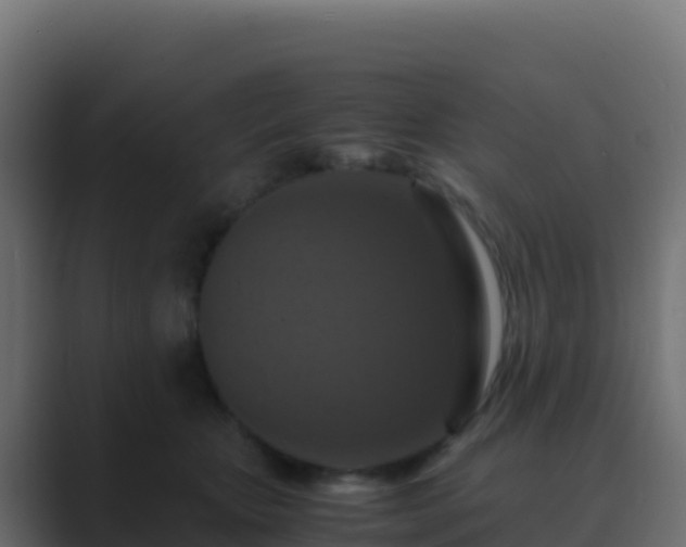 X0000089730467200706281552