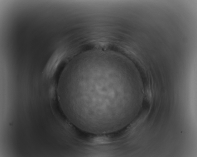 X0000089730468200706281552