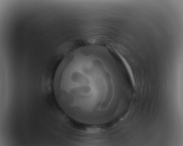 X0000089730470200706281552