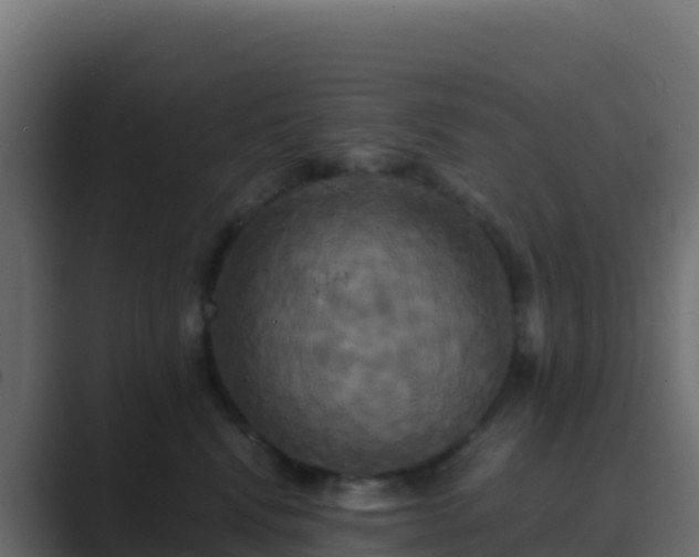 X0000089730472200706281552