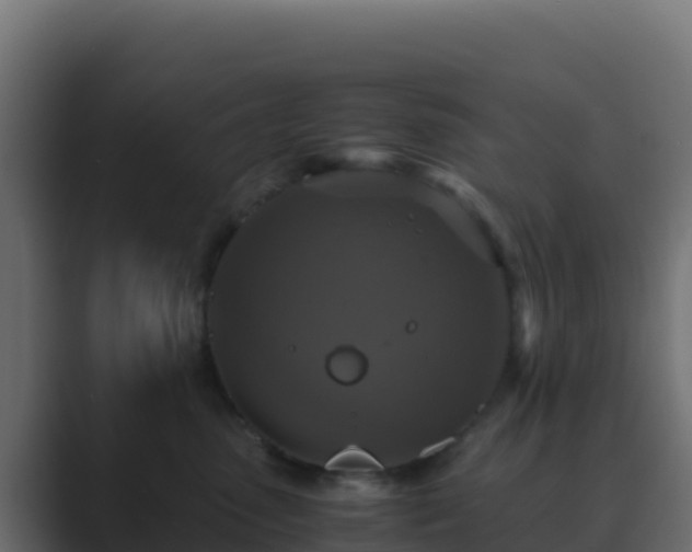 X0000089730475200706281552