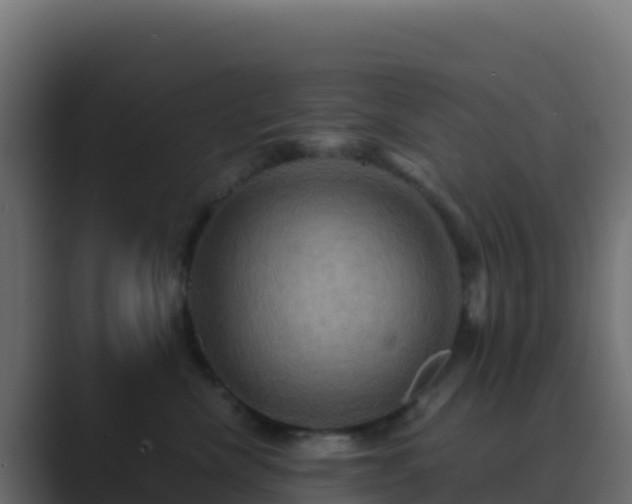 X0000089730476200706281552