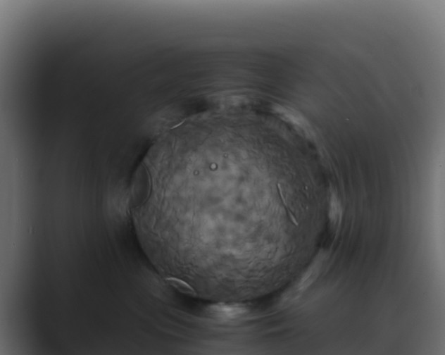 X0000089730477200706281552