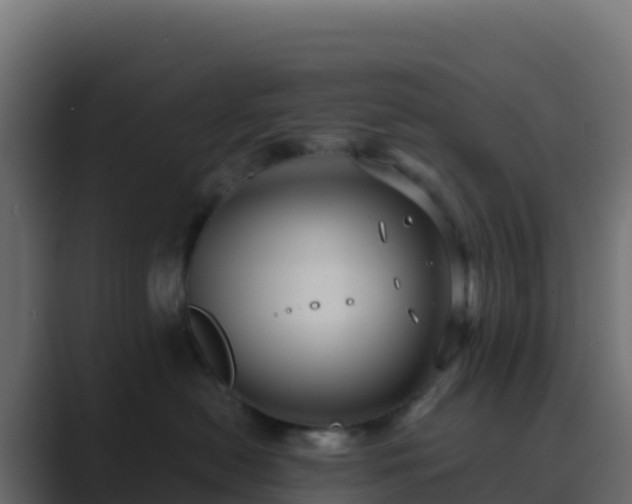 X0000089730478200706281552