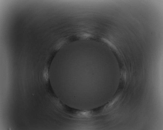 X0000089730479200706281552