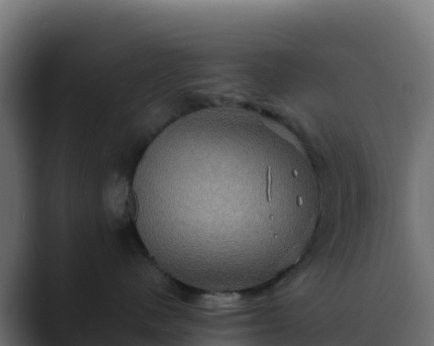X0000089730480200706281552