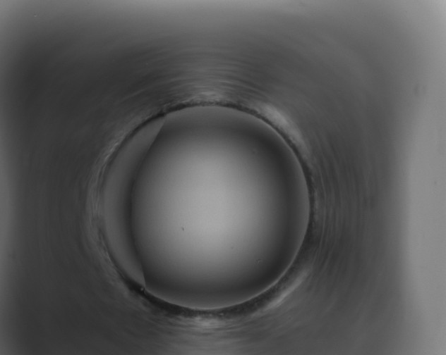X0000089730481200706281552