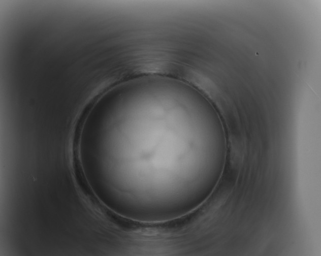 X0000089730482200706281552