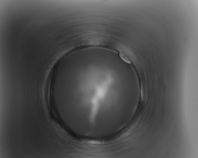 X0000089730483200706281552