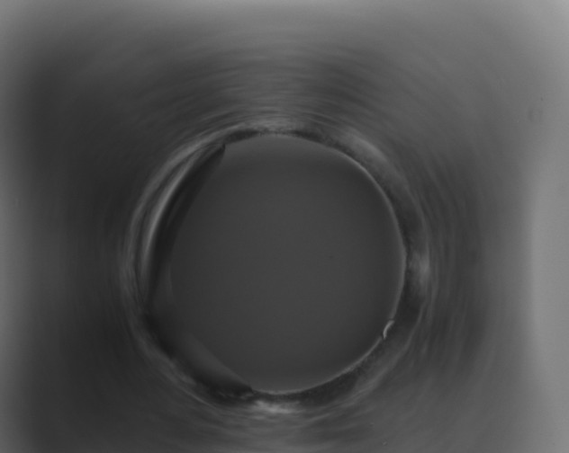 X0000089730484200706281552