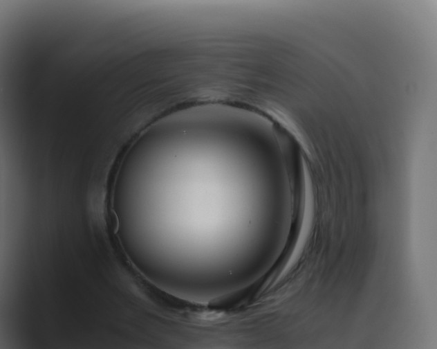 X0000089730485200706281552
