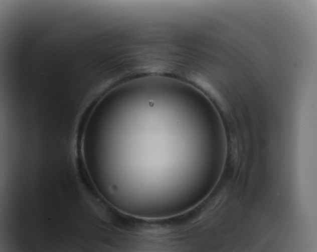 X0000089730486200706281552