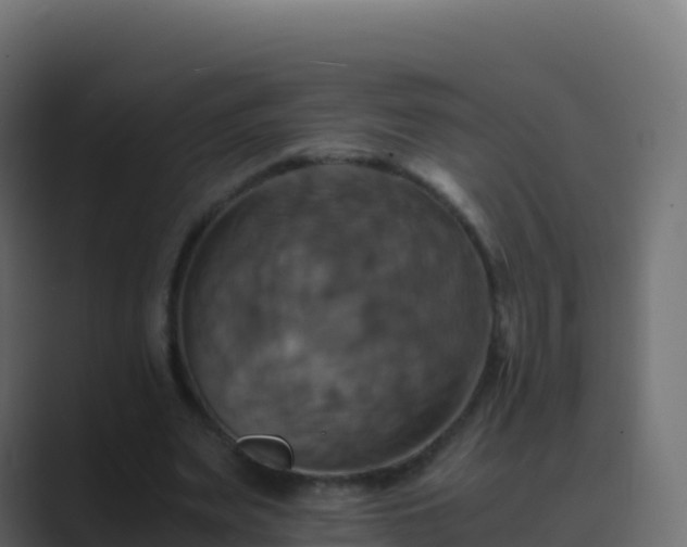 X0000089730487200706281552